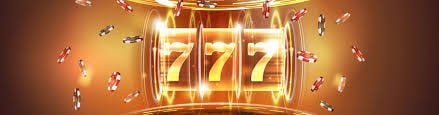vtv33